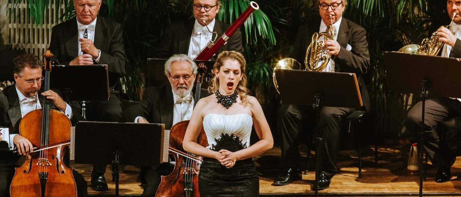 Concierto de la Vienna Hofburg Orchestra en la Konzerthaus