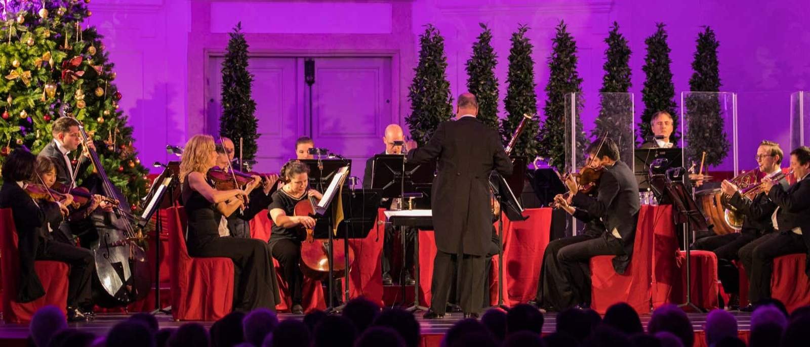 Mercado navideño de Schönbrunn + Visita al Palacio + Concierto de Navidad