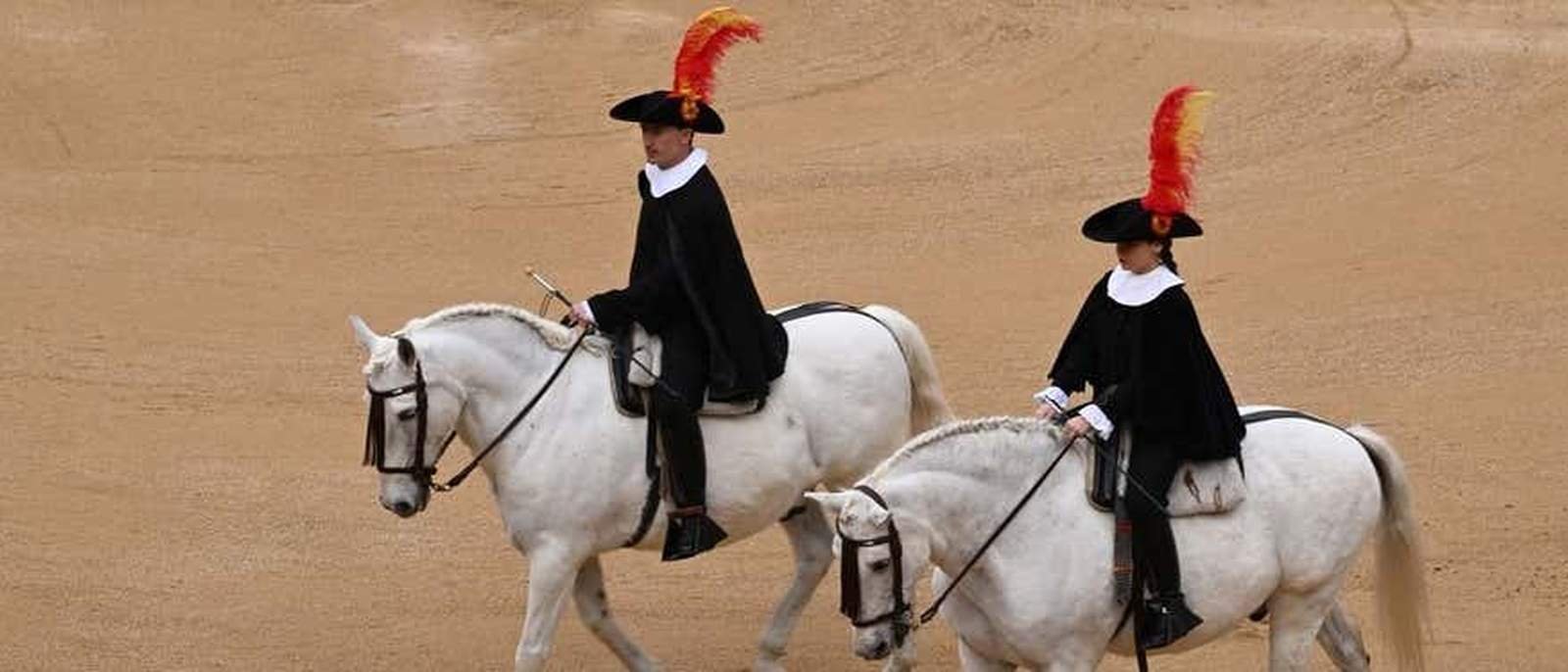 Visita guiada por la Escuela de Equitación Española